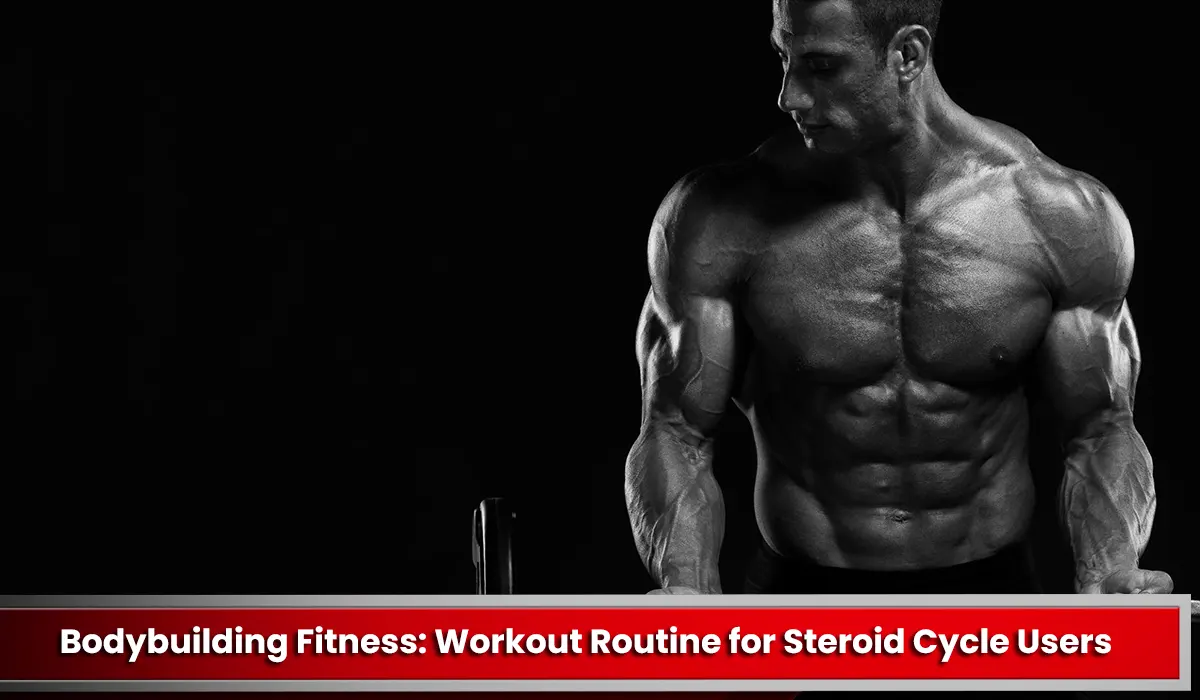 Bodybuilding Fitness: Workout Routine for Steroid Cycle Users