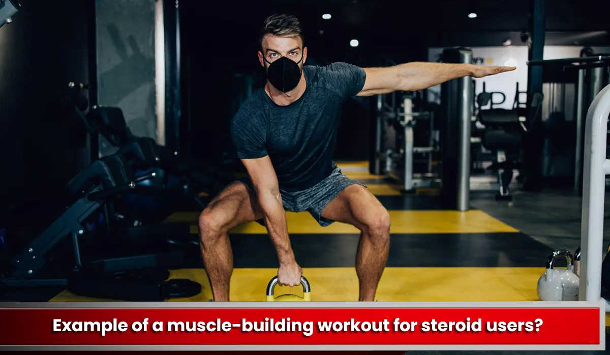 What is an example of a muscle-building workout for steroid users?