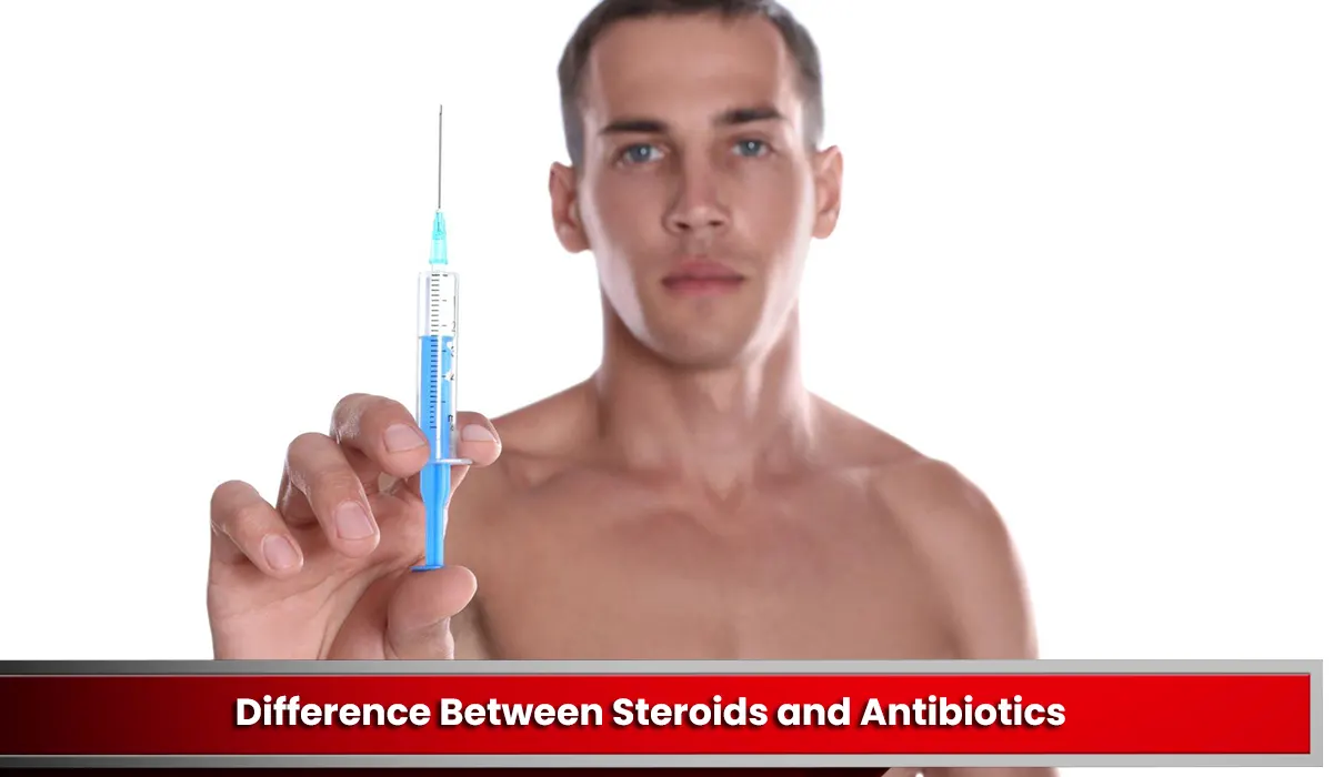 Difference Between Steroids and Antibiotics