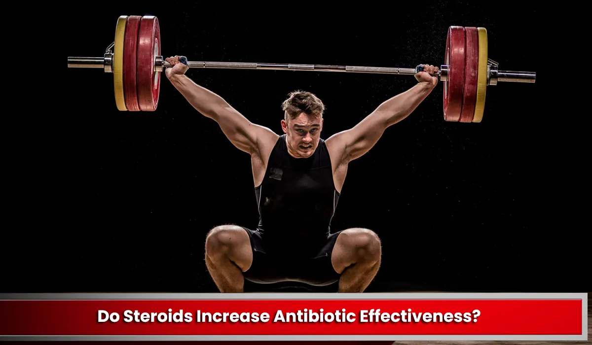 Do Steroids Increase Antibiotic Effectiveness?